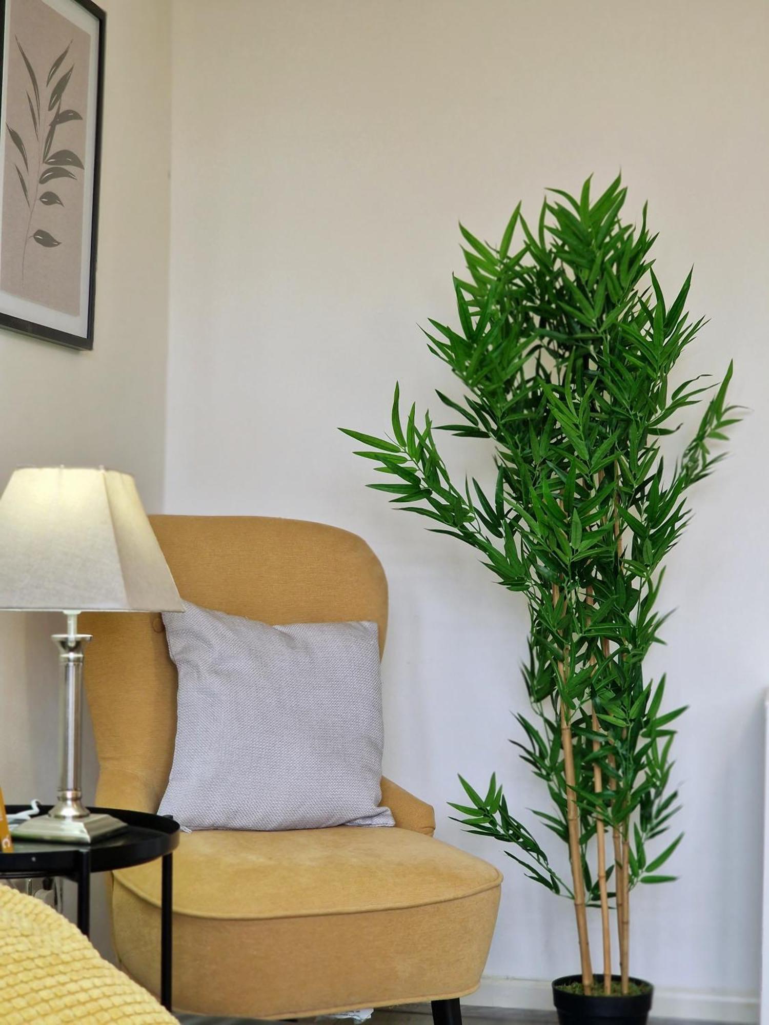 Appartement Great Portland